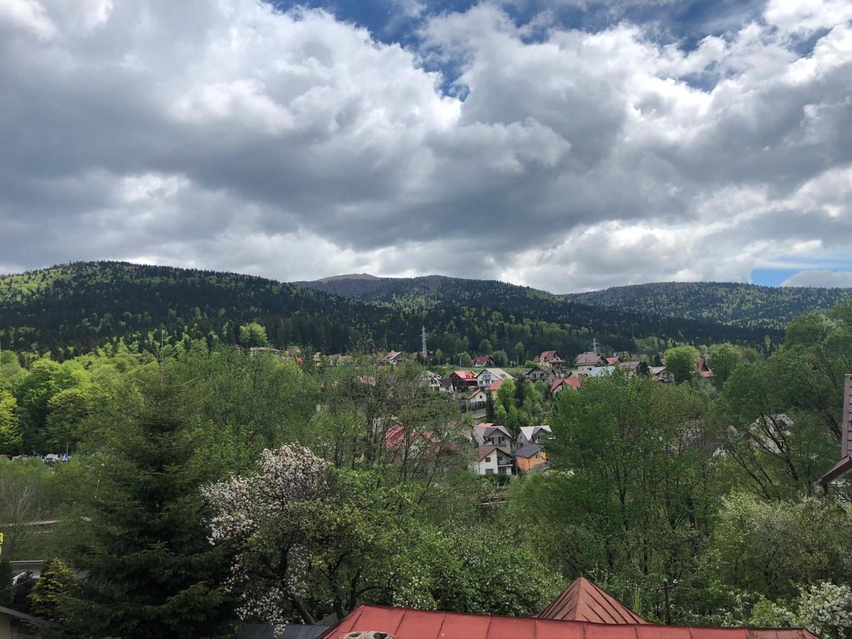 Casa Ankeli Panzió Szászbuda Kültér fotó
