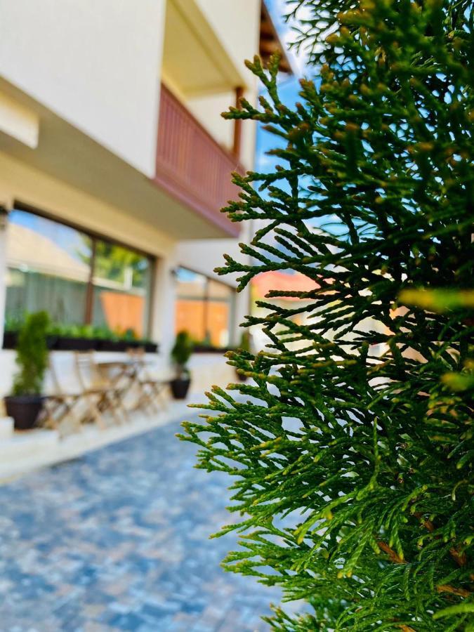 Casa Ankeli Panzió Szászbuda Kültér fotó