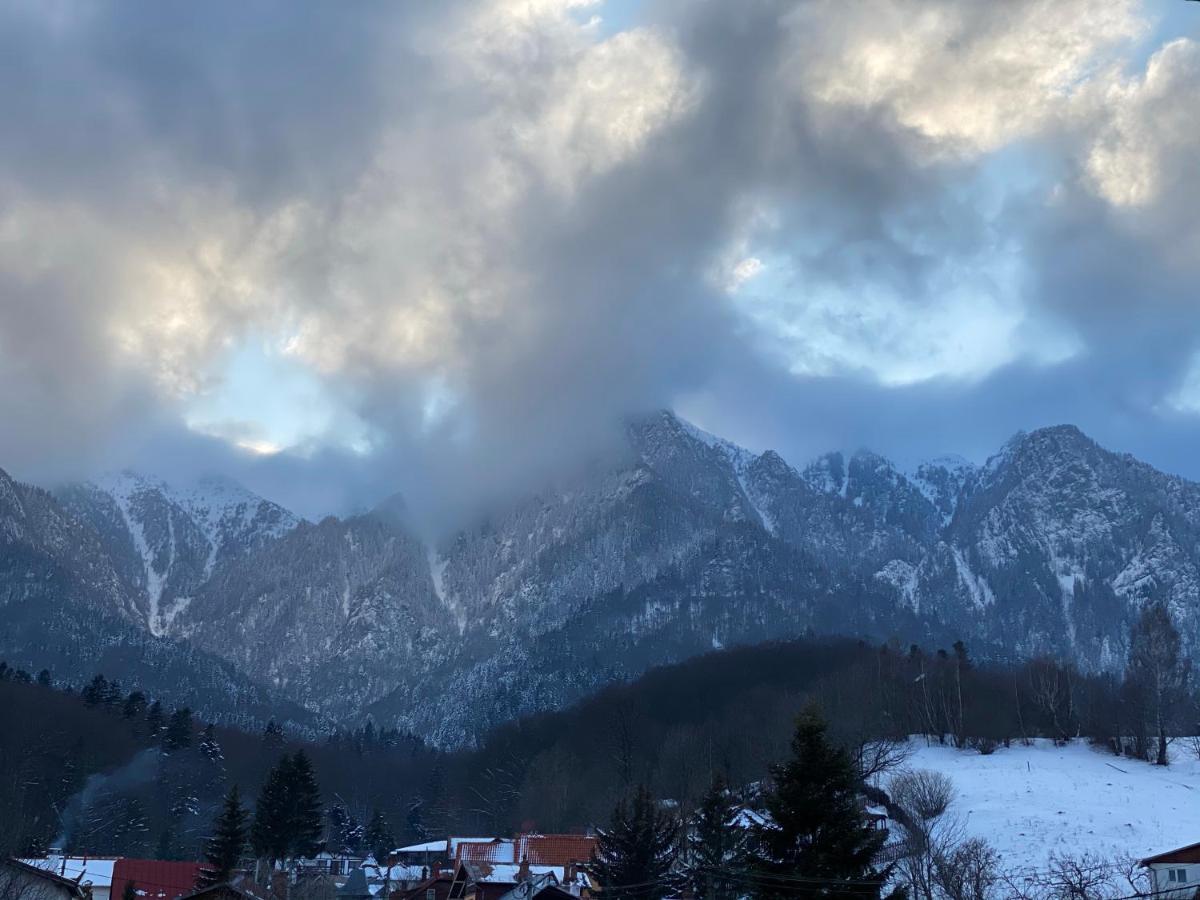 Casa Ankeli Panzió Szászbuda Kültér fotó