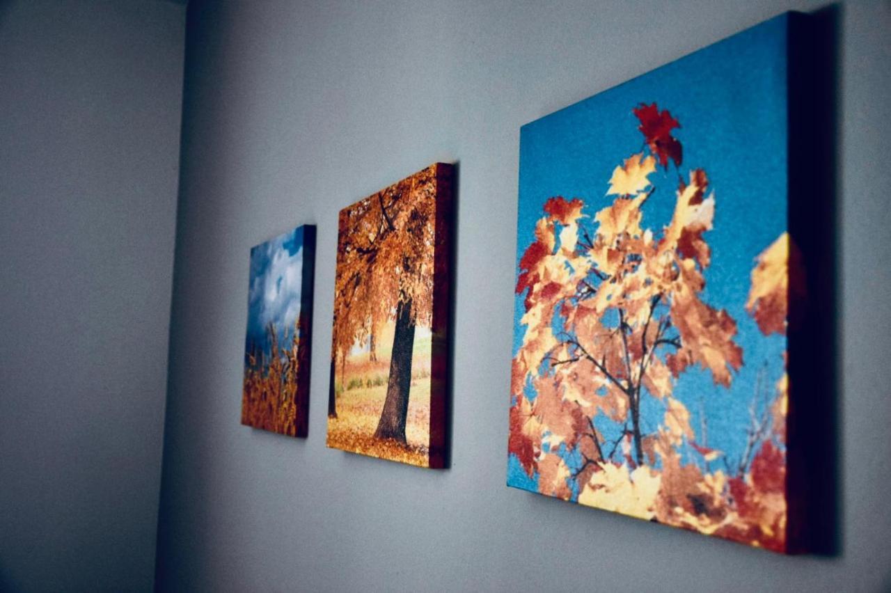 Casa Ankeli Panzió Szászbuda Kültér fotó